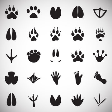 Animal foot prints icons set on white background for graphic and web design, Modern simple vector sign. Internet concept. Trendy symbol for website design web button or mobile app