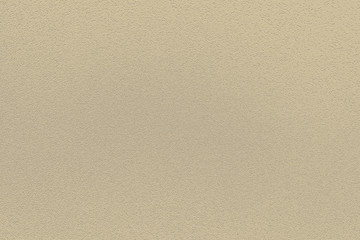 Fashionable classic neutral color of spring-summer 2019 season: Soybean