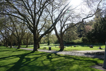 Obraz premium park in spring