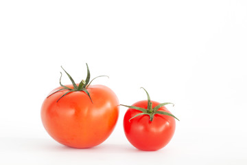 Strauch-Tomaten, isoliert