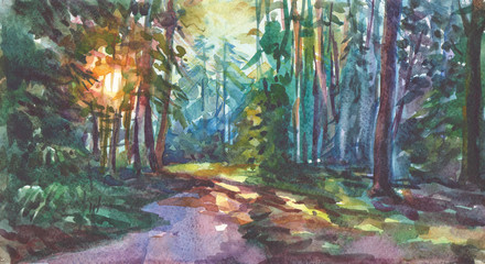 summer sunray in the forest painting background