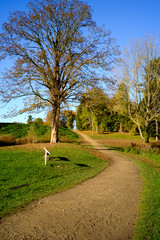 Lydiard Park