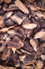 wooden chips mulch on the ground texture with vignette. background.