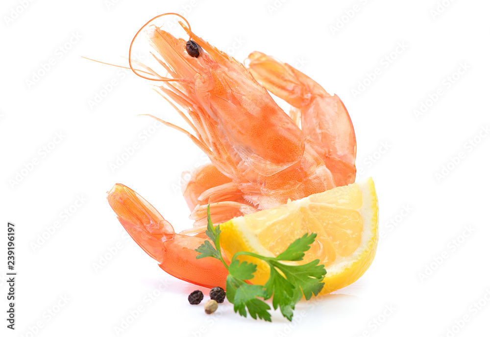 Canvas Prints shrimp on white background