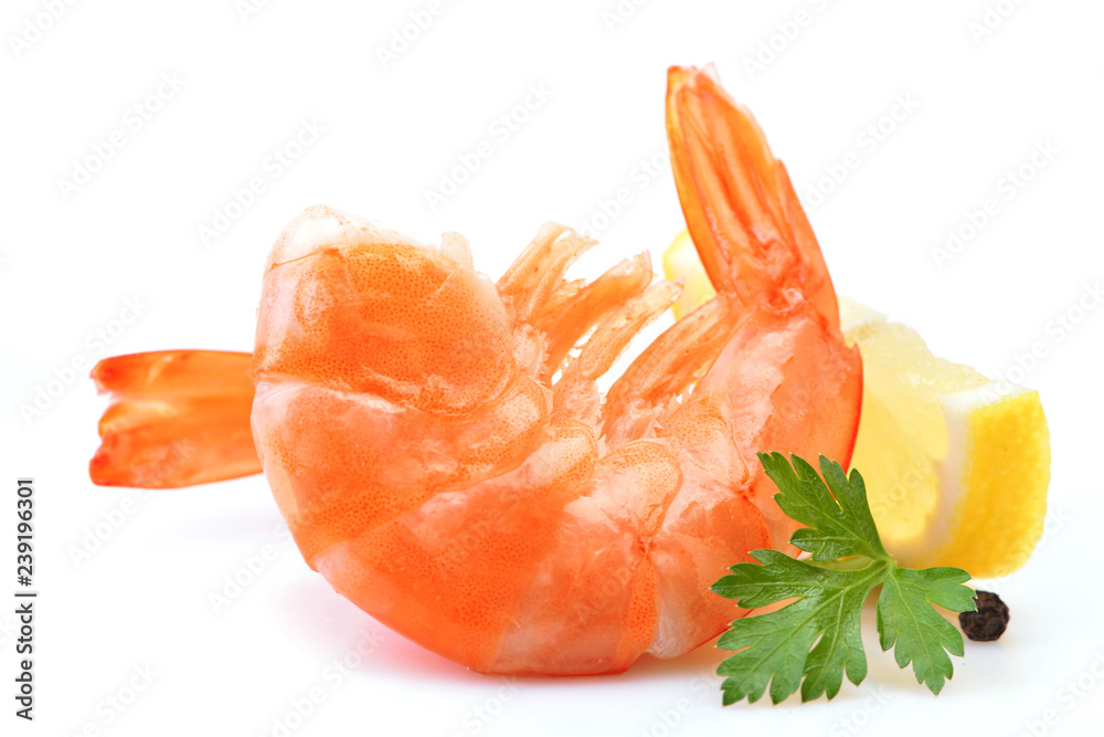 Canvas Prints shrimp on white background