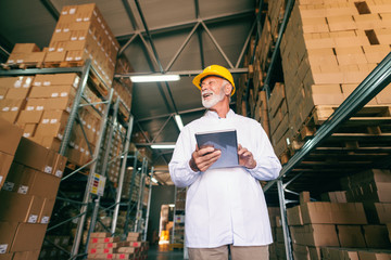 Portrait of smiling bearded senior adult worker with helmet on head using tablet in warehouse.