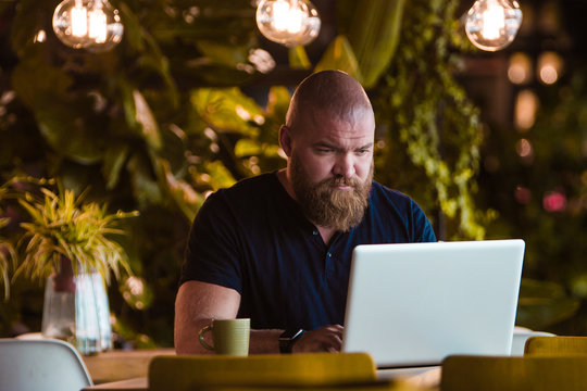 Bearded hipster man working with laptop in a bar or restaurant