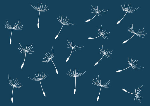 Pattern of white dandelion seeds by jziprian