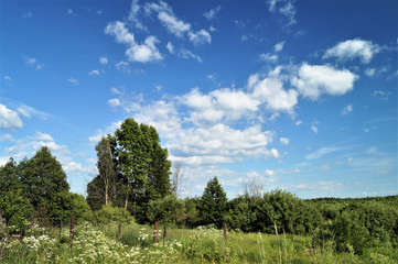 Fototapeta na wymiar Year landscape in rural terrain