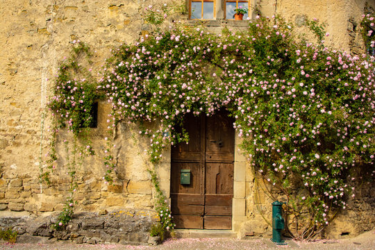 Camon rose festival