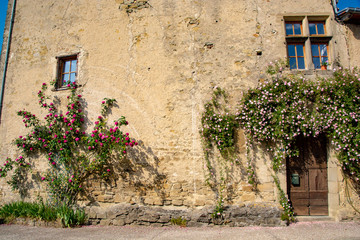 Fototapeta na wymiar wall with flowers in camon france