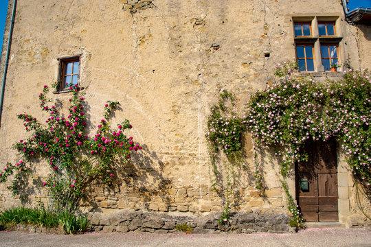wall with flowers in camon france