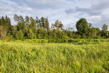 Fototapeta premium Country road along the riverbank in summer.
