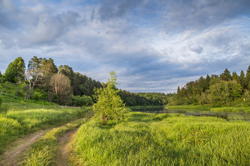 Country road along the riverbank in the summer at sunset.