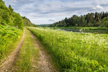 Country road along the riverbank in the summer.
