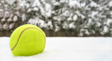 Tennis christmas ball on the snow on Christmas trees background, and falling snowflakes Sports...