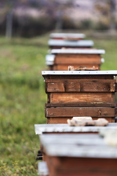Farm of beehive in Sic village, Transylvania, Romania