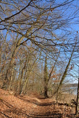 Obraz premium raus in die Natur