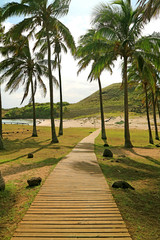 Obraz premium Wooden boardwalk in the sunlight leading to the Anakena beach on Easter island of Chile