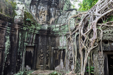Fototapeta na wymiar Templo Ta Prohm Camboya