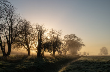 Fototapeta na wymiar A winter's morning