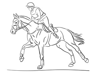 Fototapeta na wymiar Equestrian event. Rider cantering on a horse.