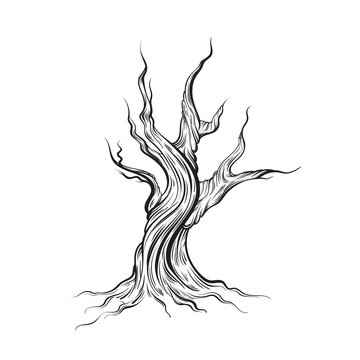 How to Draw a Tree: 15 EASY Drawing Projects