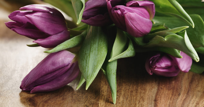 Fototapeta Closeup   of bouquet of purple tulips on wood table