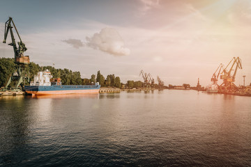 Fototapeta premium Cranes in the port
