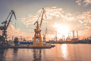 Fototapeta premium Cranes in the port