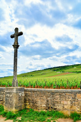 At the altar of wine greatness