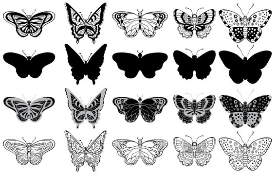 Black and white set of various butterflies forms