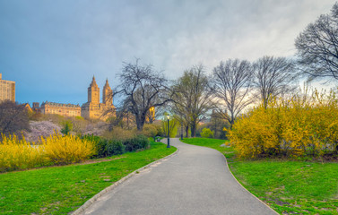 Central Park, New York City in spring