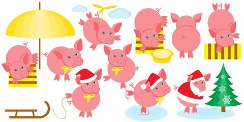 Set of cartoon pigs