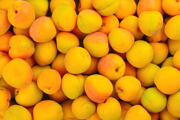 Ripe juicy orange apricots fruit background.