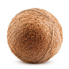 coconuts whole, isolated on white background, clipping path, full depth of field