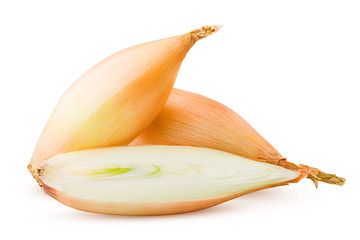 onion, shallot, isolated on white background, clipping path, full depth of field - obrazy, fototapety, plakaty