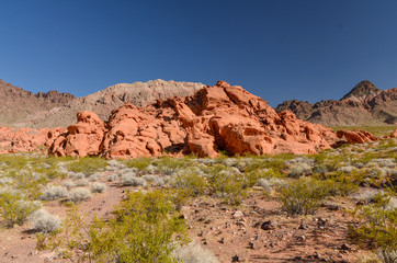 Fototapeta premium petrified dunes at the Redstone trail Lake Mead National Recreation Area, Nevada, USA