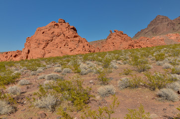 Fototapeta premium petrified dunes at the Redstone trail Lake Mead National Recreation Area, Nevada, USA