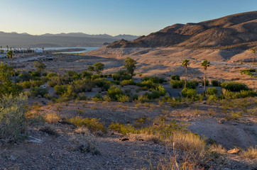 sunrise at Echo Bay in Overton Arm Lake Mead National Recreation area, Nevada, USA