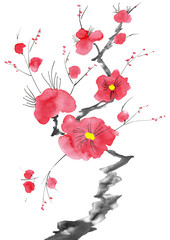 A branch of a blossoming tree. Pink and red stylized flowers of plum mei, wild apricots and sakura . Watercolor and ink illustration in style sumi-e, u-sin. Oriental traditional painting.