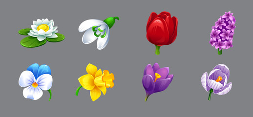 Obraz premium Vector set of realistic flowers chamomile tulip lilac lily 