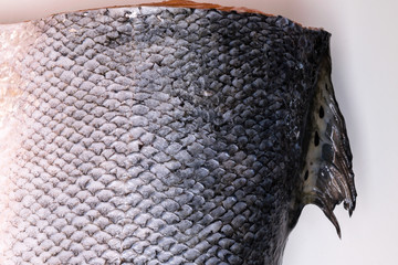Salmon fish scales grunge texture background © artemidovna
