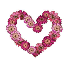 Heart of daisy flowers isolated on white background. Romantic flower collection. Vector Illustration for Happy Valentines Day Design.