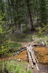 Rolling Creek Trail Autumn 2018