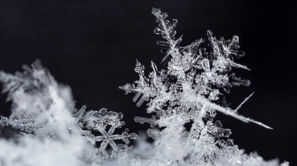 natural snowflakes on snow, winter
