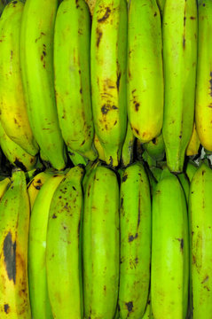 Platano Verde 1