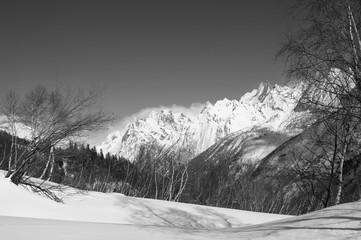Obraz premium Snowy mountains and birch forest at sun winter day