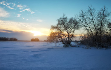 Beautiful winter landscape with frozen lake, trees and sunset sky