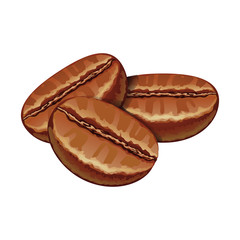 Coffee grains. Realistic grains. Vector illustration. EPS 10.
